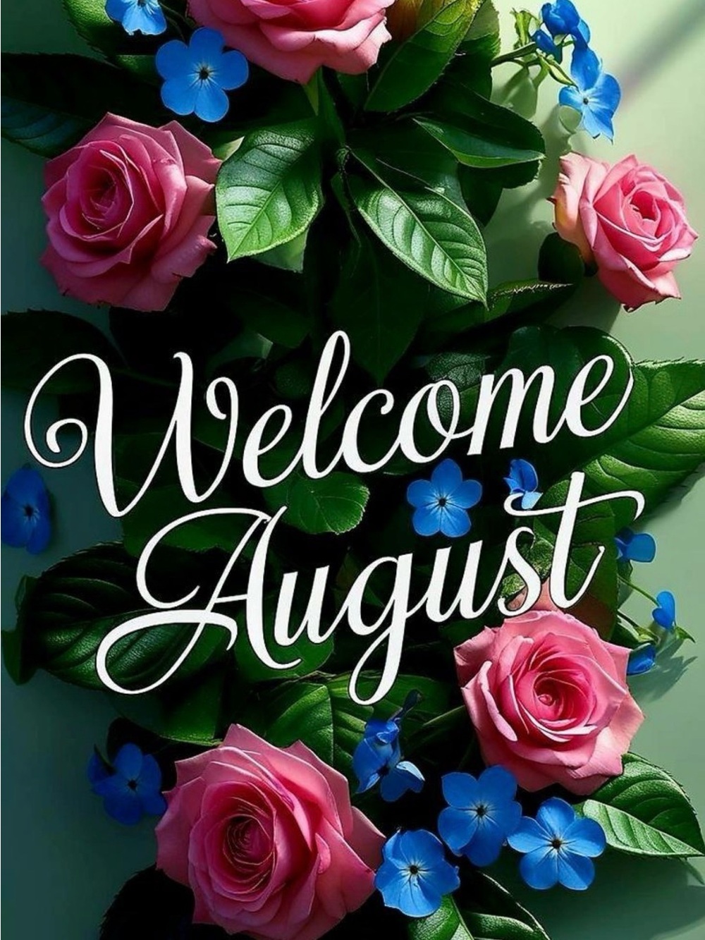 Welcome August!